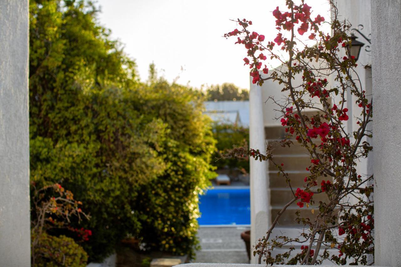 安德洛美达公寓酒店 Mykonos Town 外观 照片