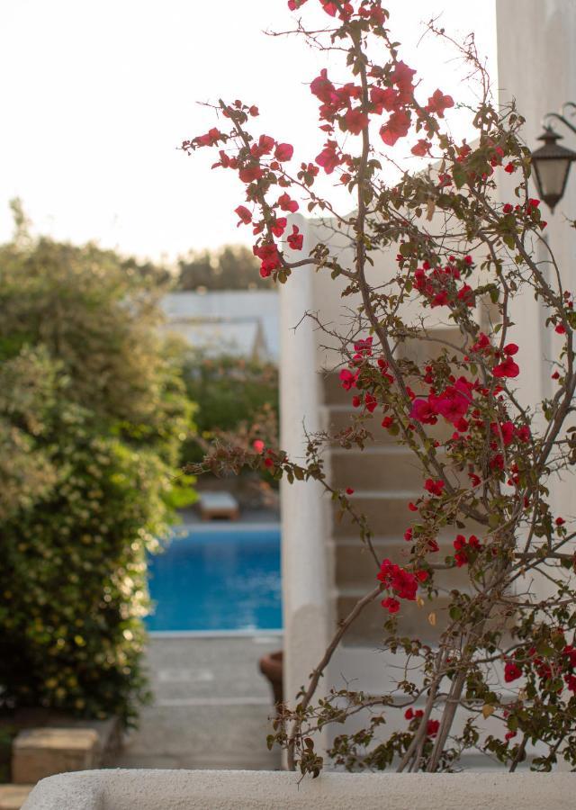 安德洛美达公寓酒店 Mykonos Town 外观 照片